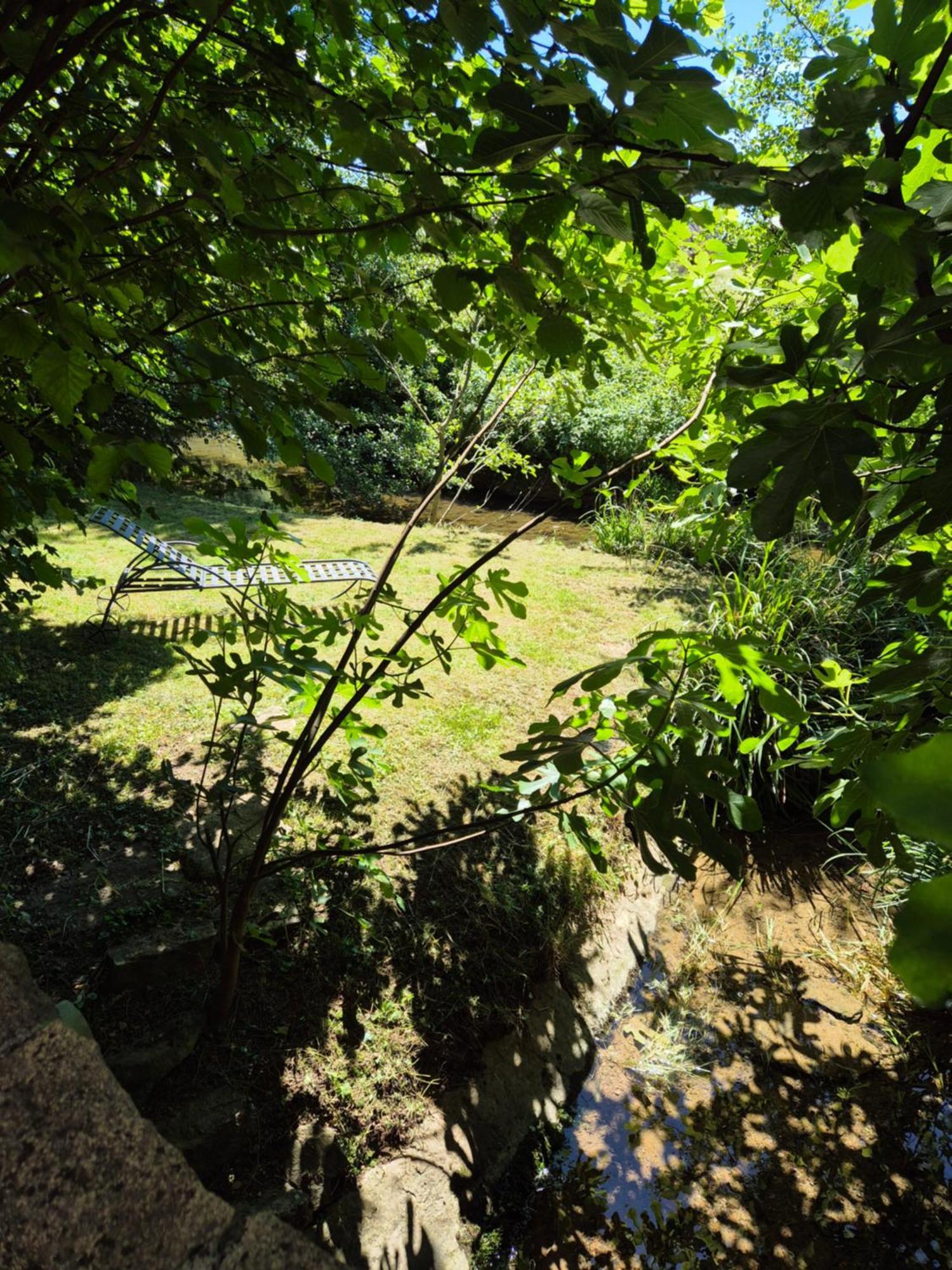 Au Lavoir Du Serein "L'Eventail" Saint-Germain-lès-Arlay Eksteriør bilde